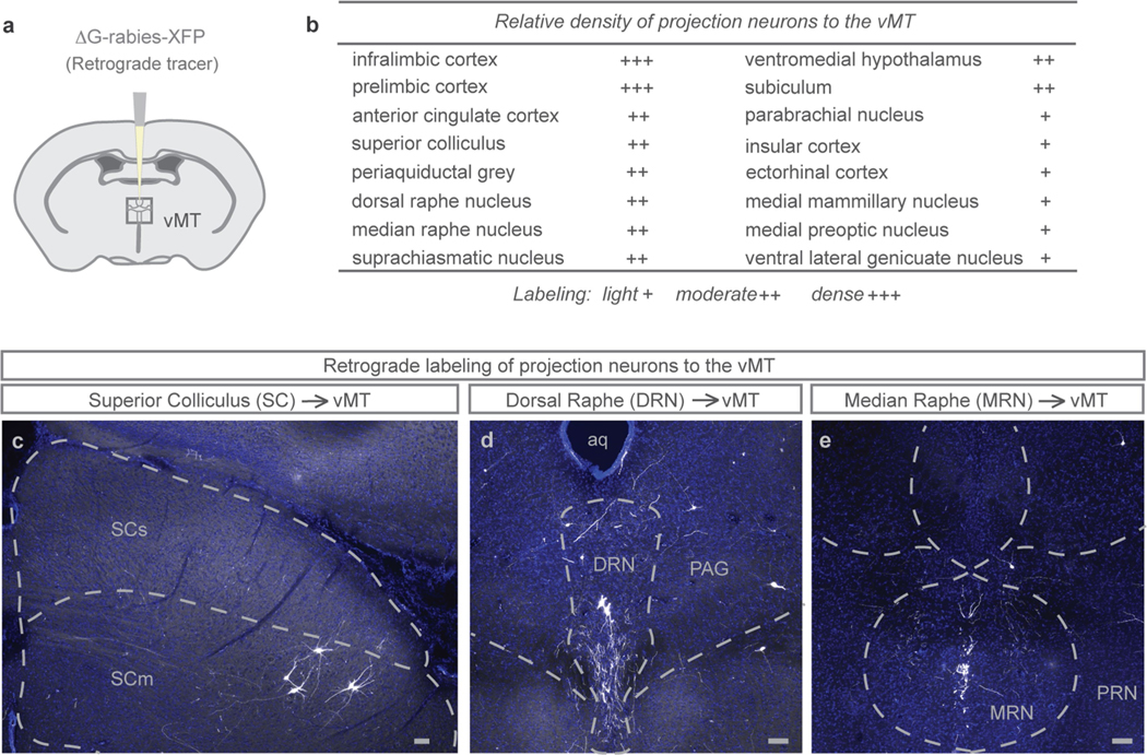 Extended Data Fig. 10 |