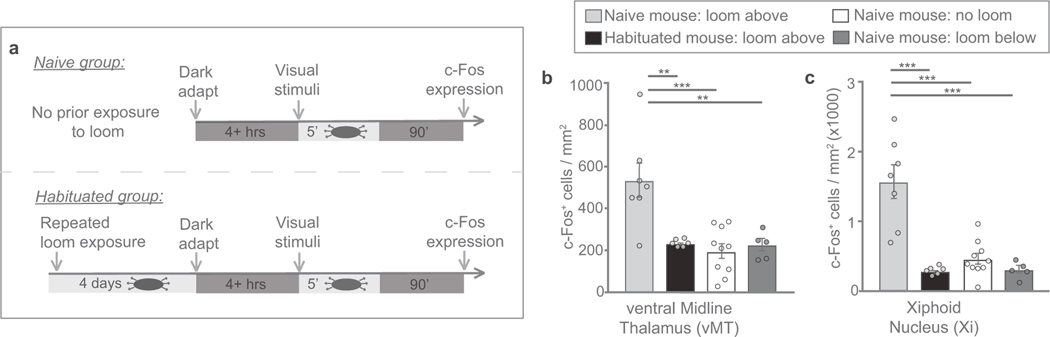 Extended Data Fig. 8 |