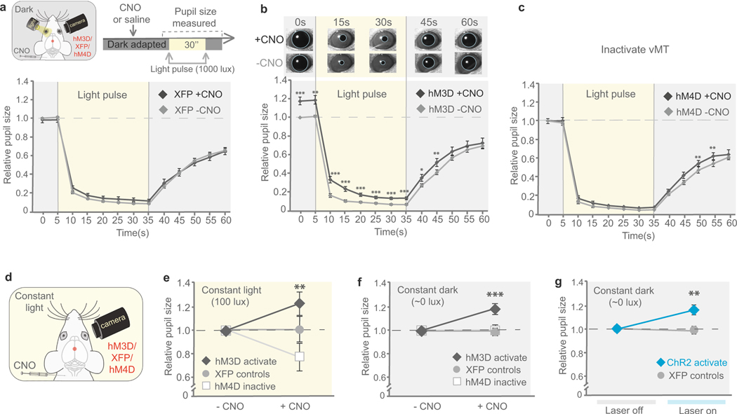 Extended Data Fig. 7 |