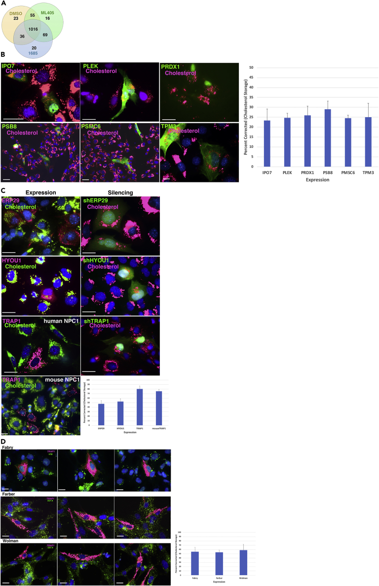 Figure 2