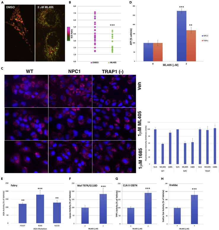 Figure 4