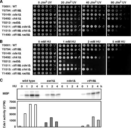 Figure 2.