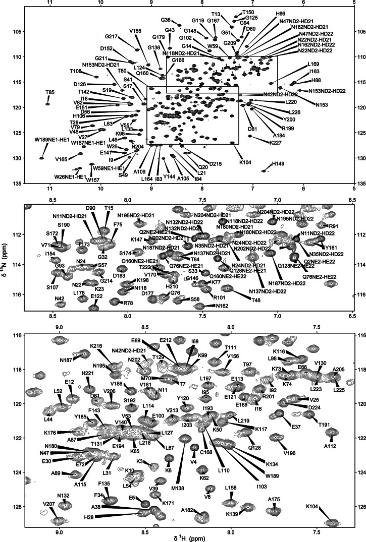 Fig. 2