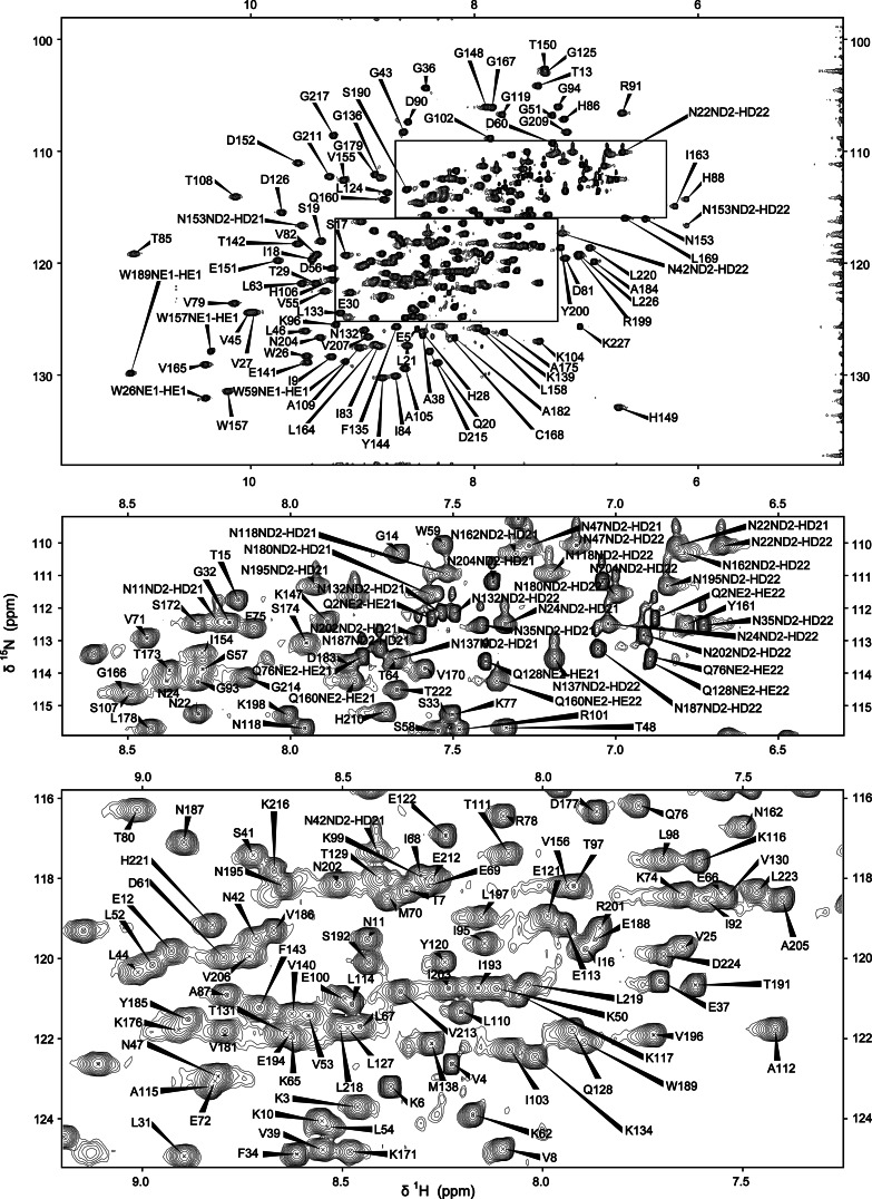 Fig. 1