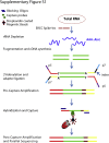 Supplemental Figure S1