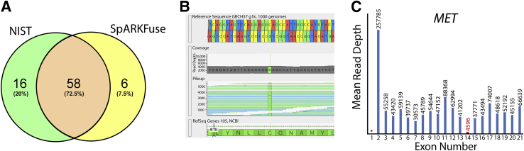 Figure 6