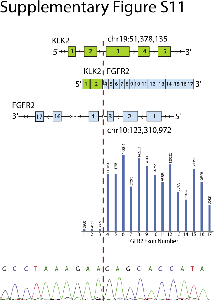 Supplemental Figure S11