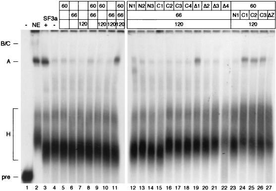 FIG. 6