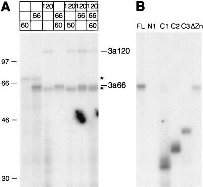 FIG. 7