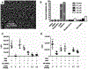 Figure 10.
