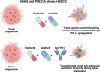 Image, graphical abstract