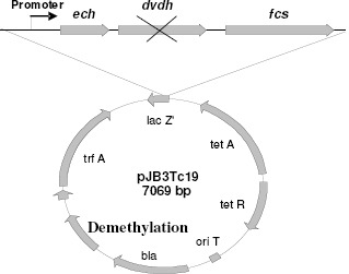 Figure 6.