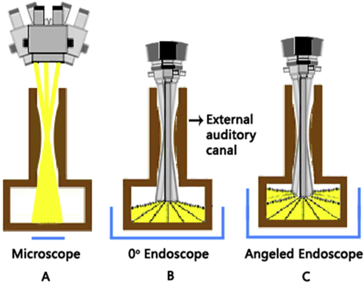 Fig. 2