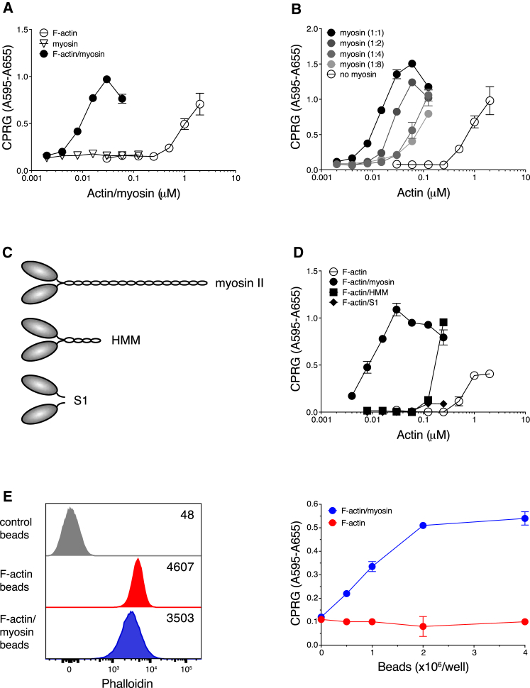 Figure 2