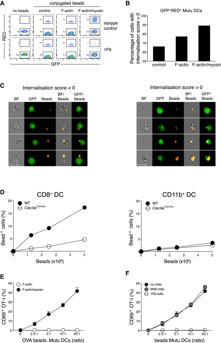 Figure 3