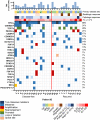 Figure 4. Mutational landscape plot showing the most commonly mutated genes arranged by frequency (top to bottom). Each column represents an individual patient's tumor sample obtained at the time of salvage surgery, following neoadjuvant immunotherapy grouped from left to right based on disease status (disease-free or recurrence). The bar graph at the top of the figure shows TMB in mutations/Mb. The color-coded top row tiles indicate key clinicopathologic features, including primary site of initial disease (OC, oral cavity; OPC, oropharynx; “+” human papillomavirus positive; LAR, larynx; HYPO, hypopharynx), radiologic response to neoadjuvant immunotherapy prior to salvage surgery (RECIST v1.1), pathologic response graded by degree of viable tumor remaining in the surgical specimen (≤50%, partial response and ≤10% major response), and PD-L1 CPS determined from the salvage surgical specimen.