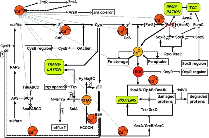 FIG. 4.