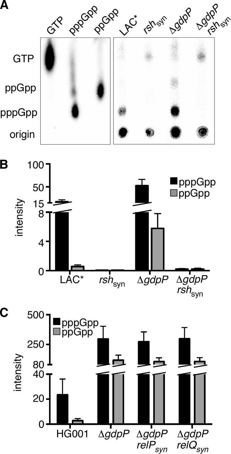 FIGURE 7.