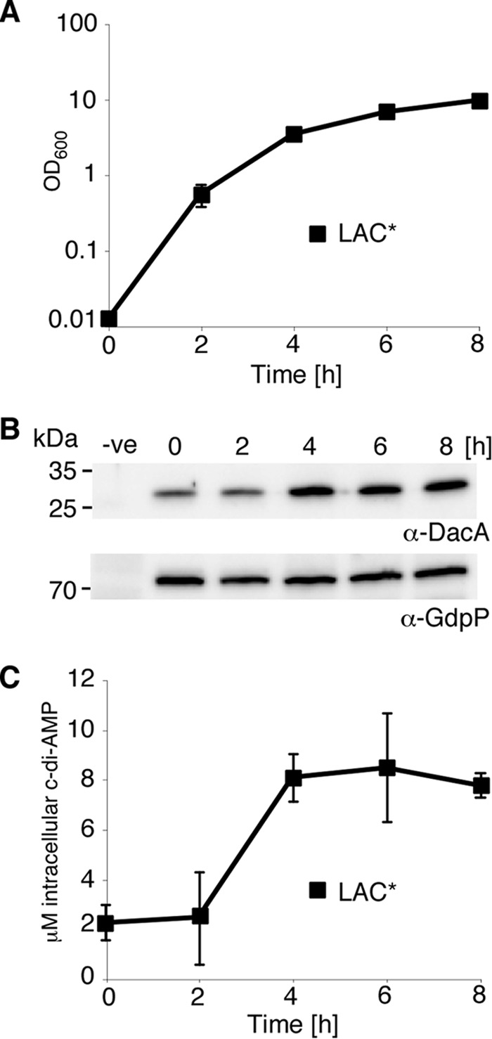 FIGURE 1.