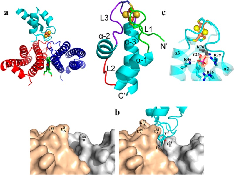 Figure 11