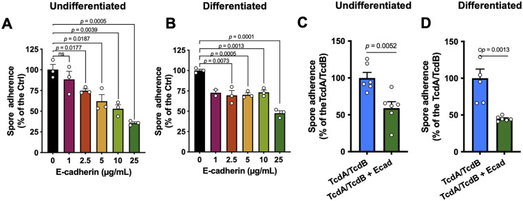 FIG 6