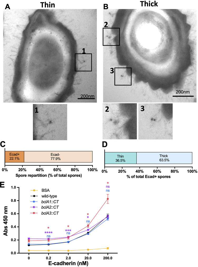 FIG 8