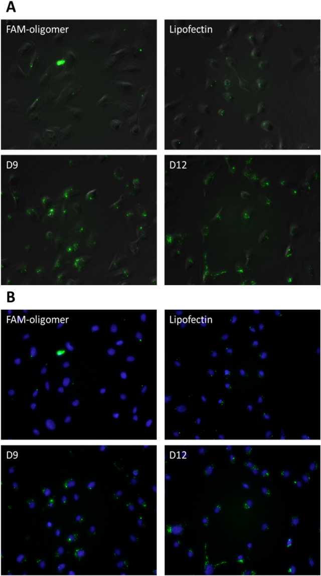 Figure 10