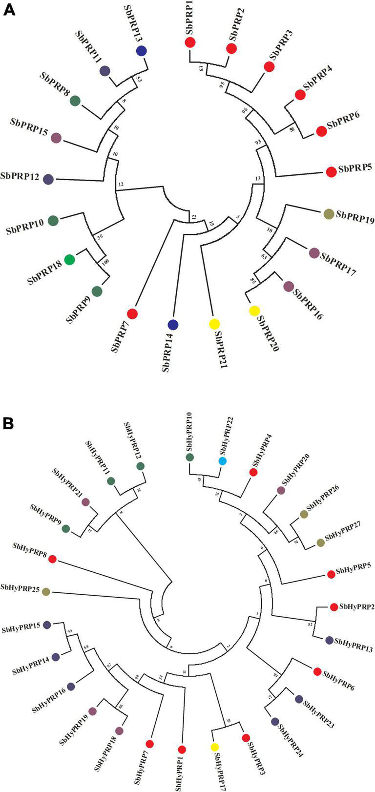 FIGURE 4