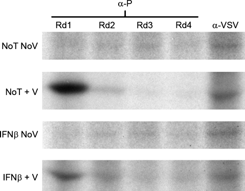 FIG. 5.