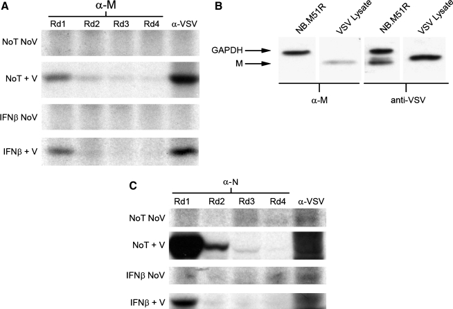 FIG. 10.