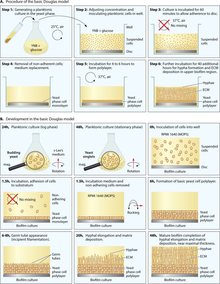 FIG 3