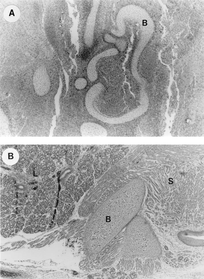 FIG. 3