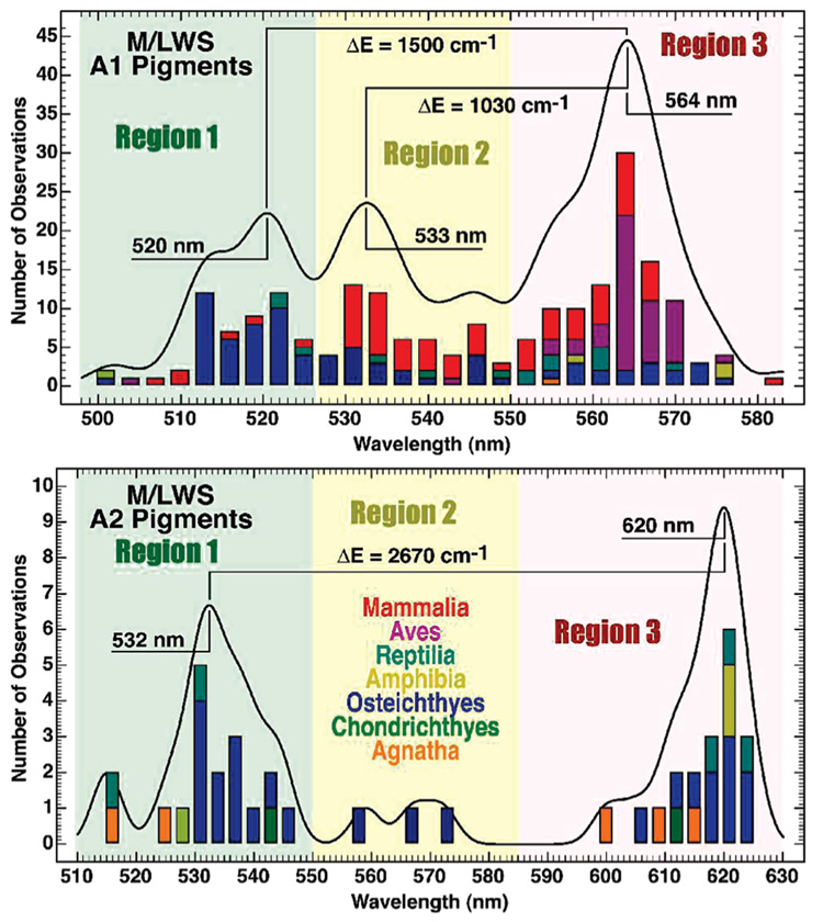 FIGURE 3