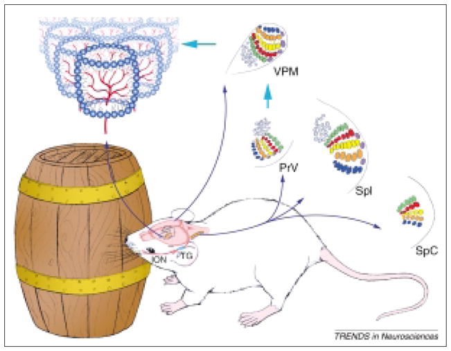 Fig. 1