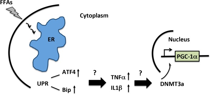 Fig 9