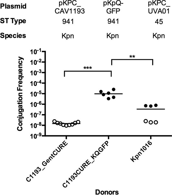 FIG 6