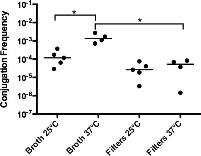 FIG 1