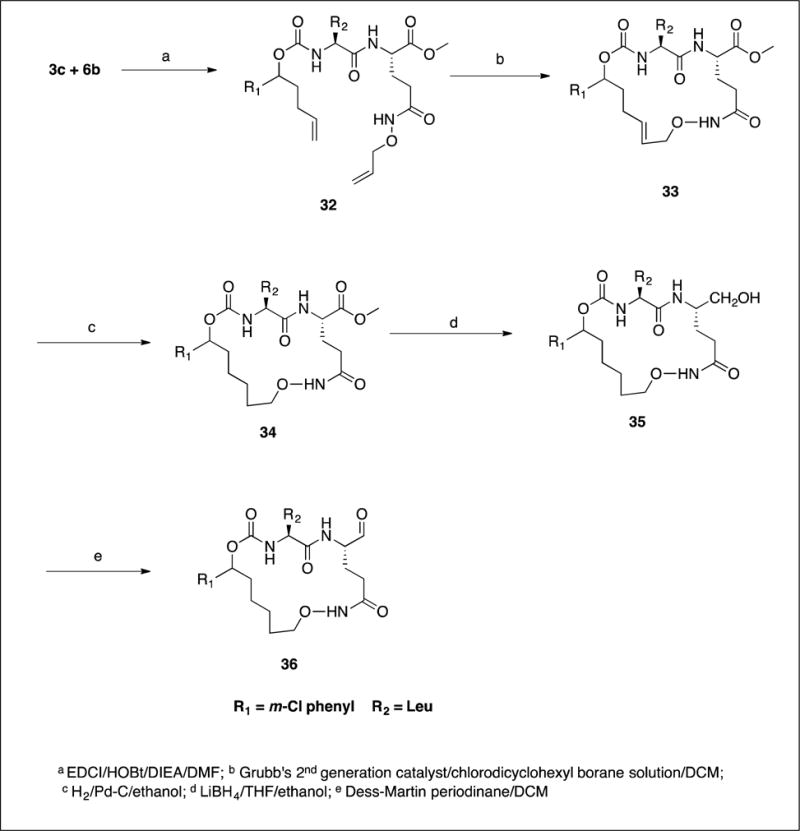 Scheme 6