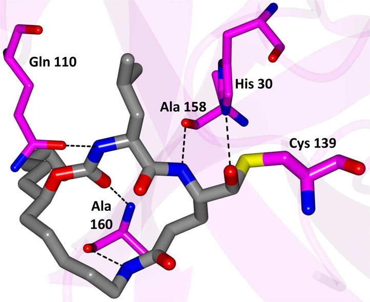 Fig. 8