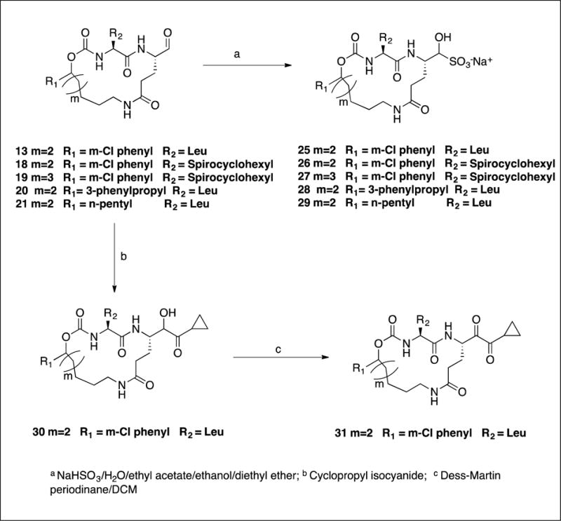 Scheme 5