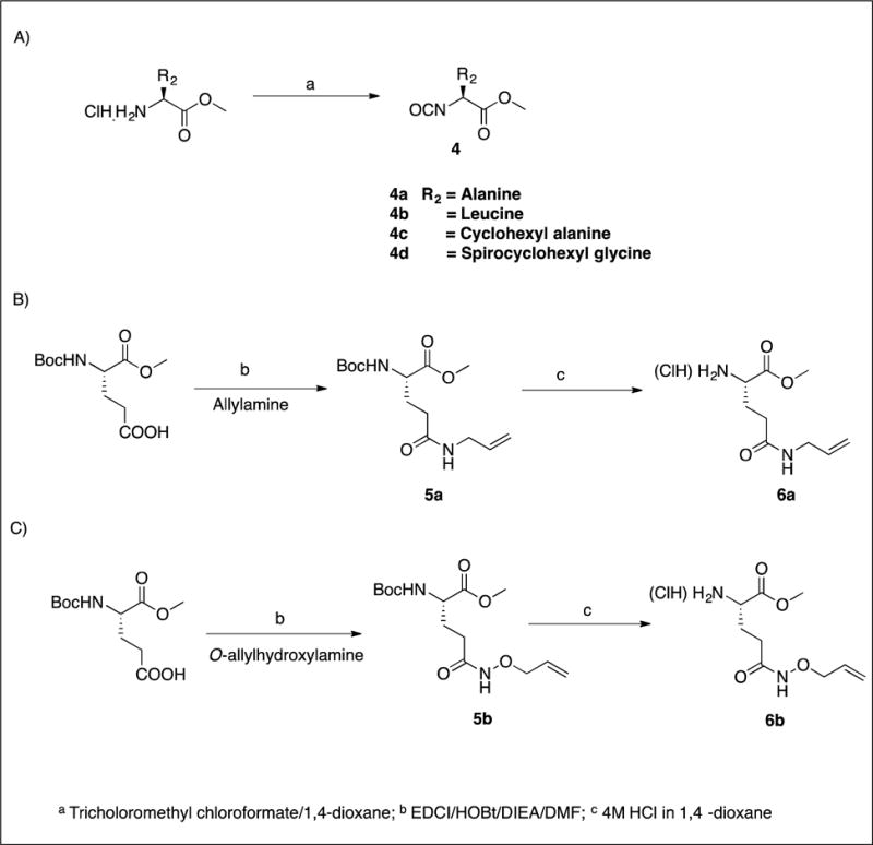 Scheme 2