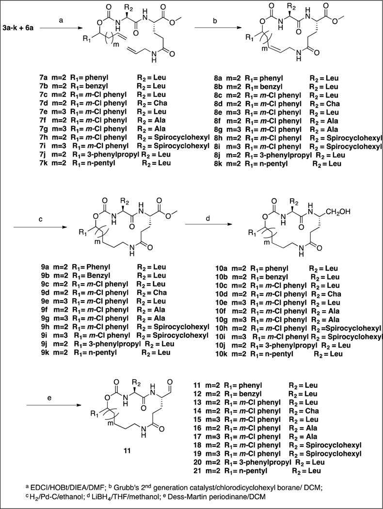 Scheme 3