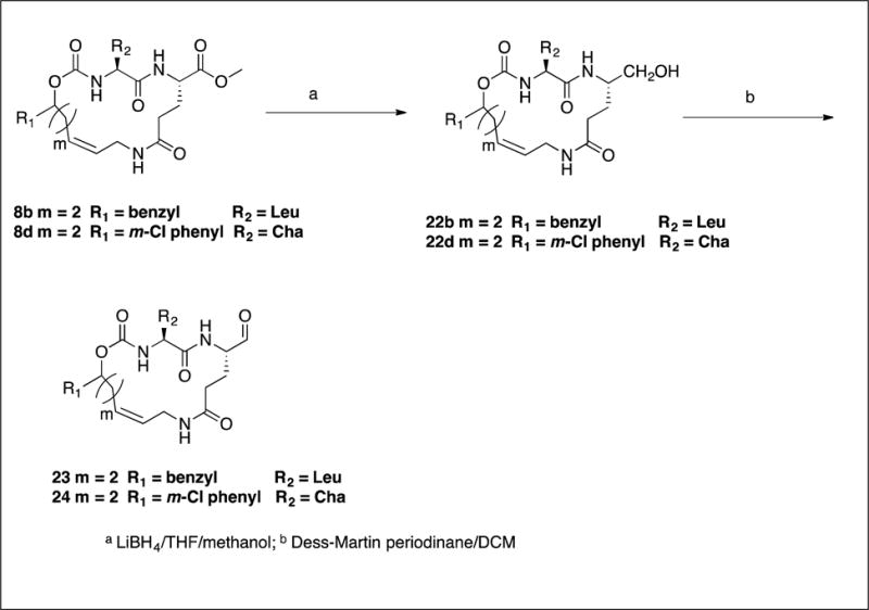 Scheme 4