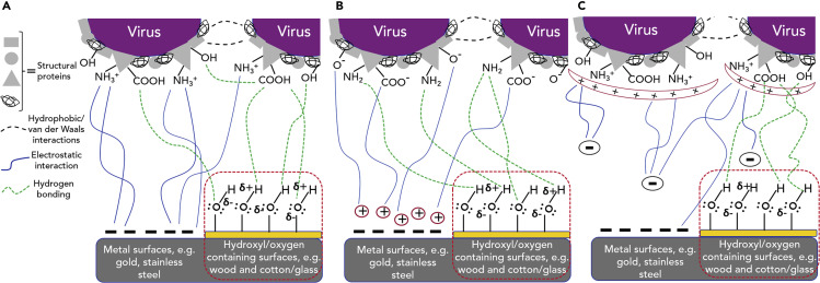 Figure 2