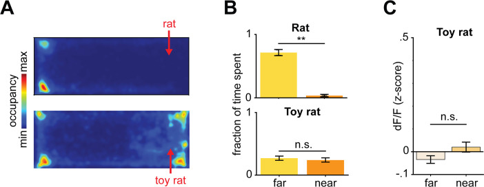 Figure 3—figure supplement 2.