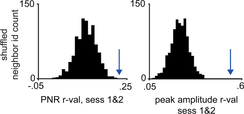 Figure 3—figure supplement 1.