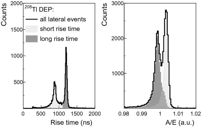 Fig. 11