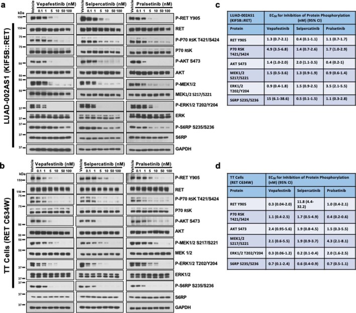 Extended Data Fig. 4