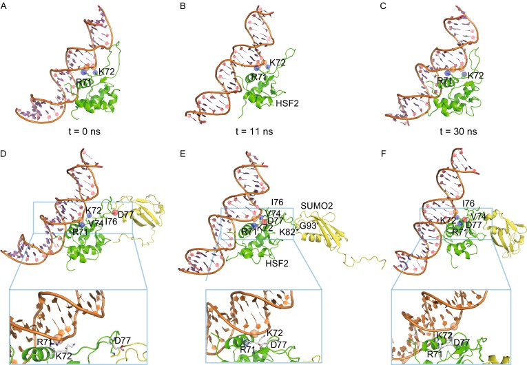 Figure 2