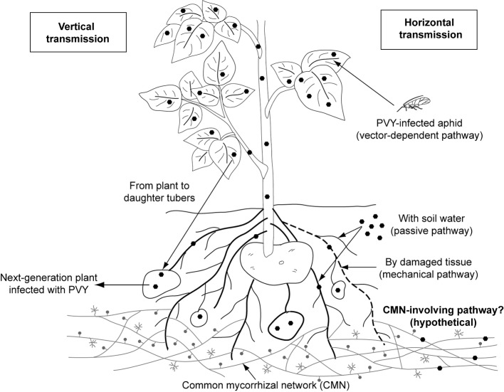 Figure1